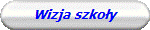 Wizja szkoy